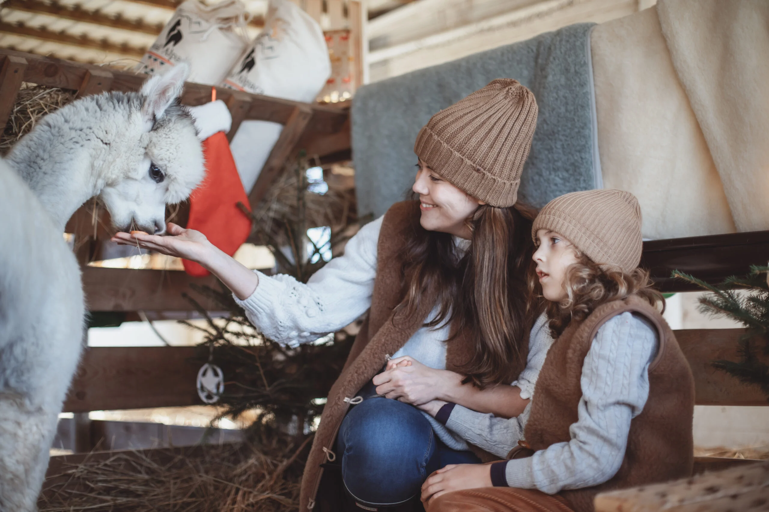 Matka i syn karmią alpakę. Obydwoje w wełnianych kamizelkach z wełny alpaki.