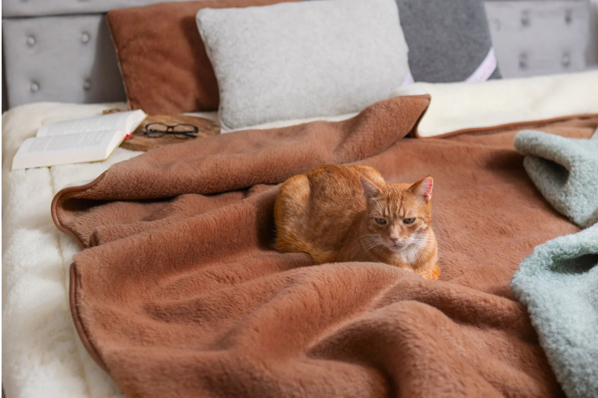 Rudy kot leżący na wełnianej kołdrze lana amore