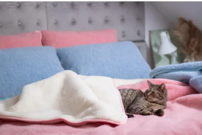 Łóżko - na nim poduszki i kołdra wełniane. Na nich leży kotek.