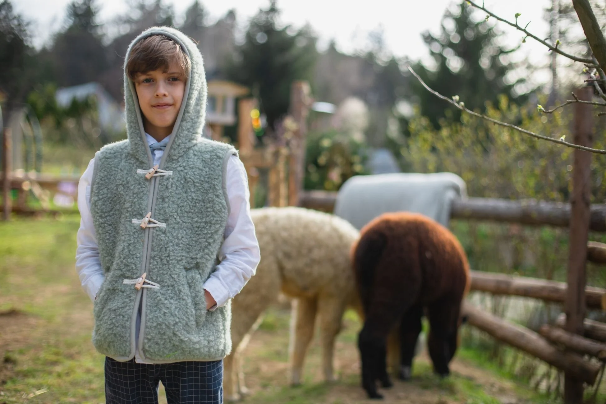 Chłopiec w wełnianej kamizelce z kapturem i białej koszuli. Za nim dwie alpaki jedzą trawę.