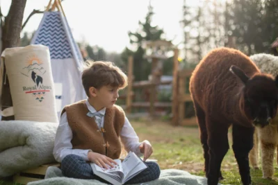 Chłopiec w wełnianej kamizelce, siedzi na kocu. W tle alpaki.