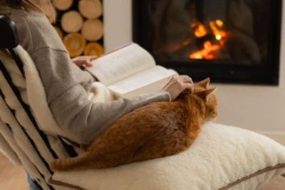 Kobieta siedząca na siedzisku z wełny, czyta książkę. Obok śpi rudy kot. W tle kominek.