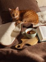Rudy kot leży na brązowym kocu i poduszce, obok filiżanka herbaty i książka na drewnianej desce