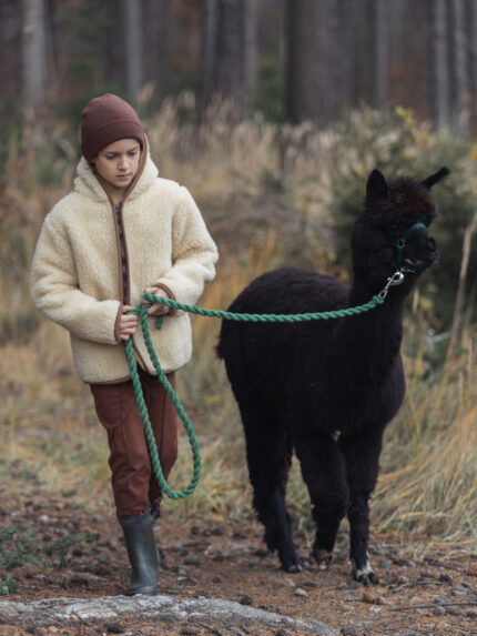Chłopiec w jasnej kurtce wełnianej prowadzi czarną alpakę w lesie