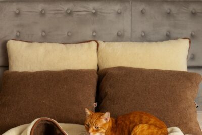 Na łóżku znajdują się poduszki w kolorze kremowym i brązowym oraz leżący na wełnianej kołdrze kot