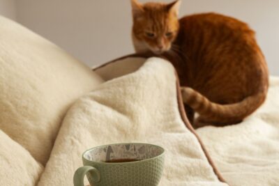 Na beżowej kołdrze wełnianej znajduje się zielona filiżanka z kawą, w tle rudy kot
