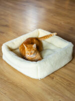 Rudy kot leży w białym legowisku na drewnianej podłodze