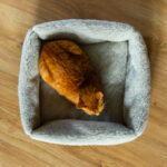 Hund‑ und Katzenbett mit Seitenrändern – Merinowolle